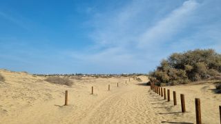 2023-GC--Mapalomas dunas-S123-204.jpg